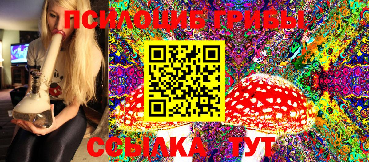 Псилоцибиновые грибы мухоморы  Вход с VPN  Псилоцибиновые грибы MAGIC MUSHROOMS  Котовск 