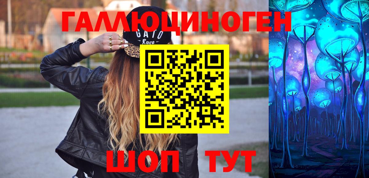 Галлюциногенные грибы Psilocybe Котовск